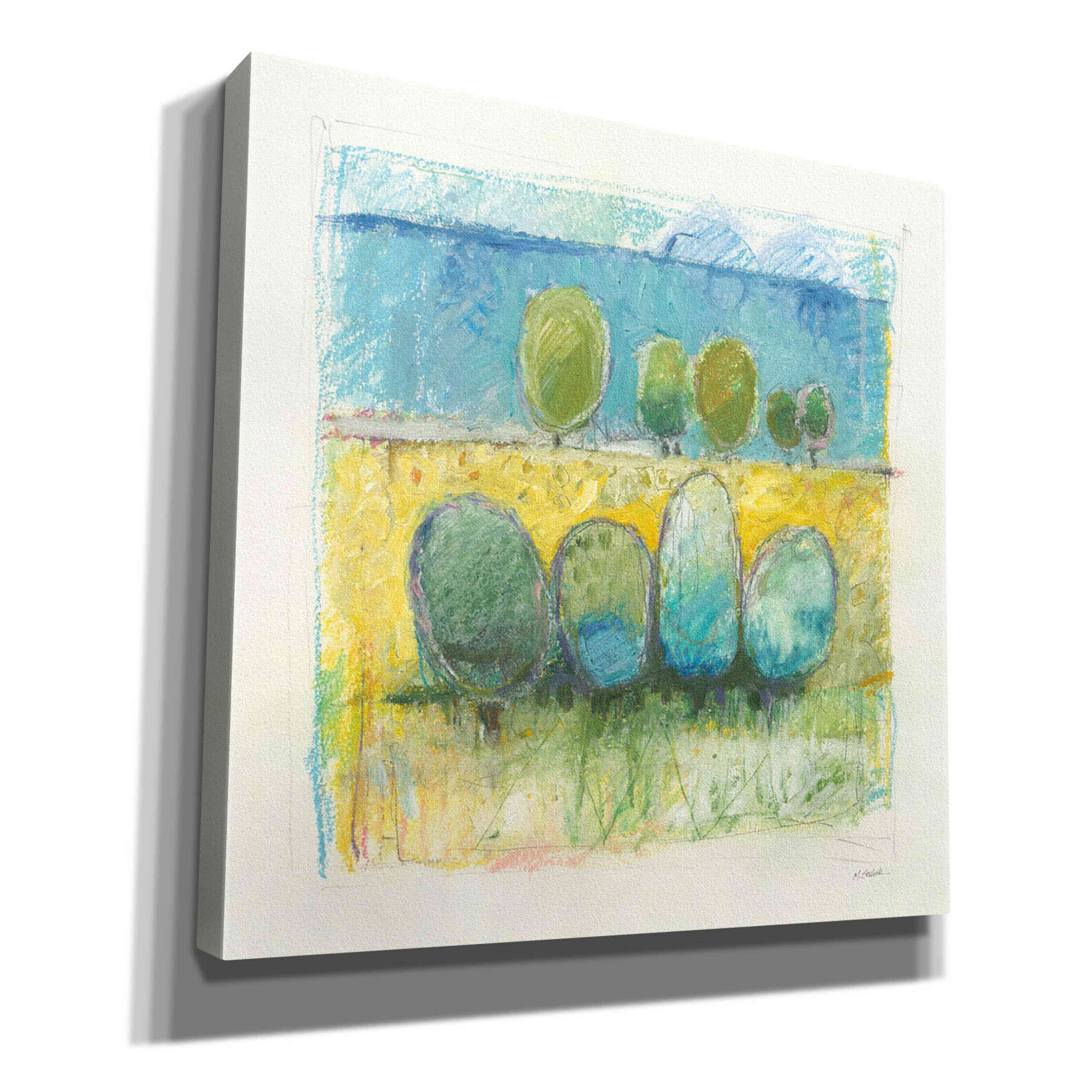 'Morning Grove' by Mike Schick, Giclee Canvas Wall Art