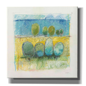 'Morning Grove' by Mike Schick, Giclee Canvas Wall Art
