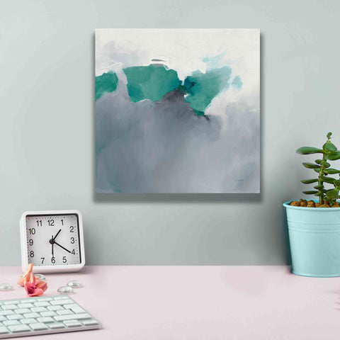 Image of 'Dark To Light Peacock' by Mike Schick, Giclee Canvas Wall Art,12x12