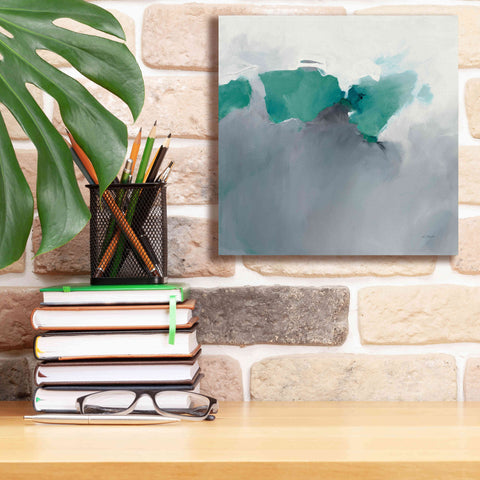 Image of 'Dark To Light Peacock' by Mike Schick, Giclee Canvas Wall Art,12x12