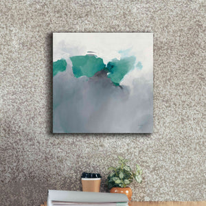 'Dark To Light Peacock' by Mike Schick, Giclee Canvas Wall Art,18x18