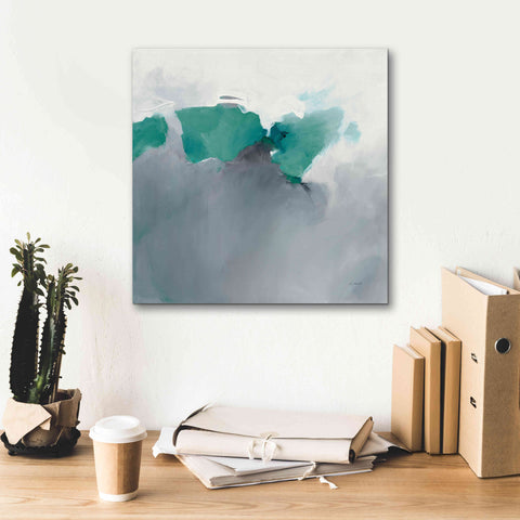 Image of 'Dark To Light Peacock' by Mike Schick, Giclee Canvas Wall Art,18x18
