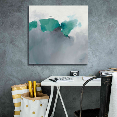 Image of 'Dark To Light Peacock' by Mike Schick, Giclee Canvas Wall Art,26x26