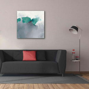 'Dark To Light Peacock' by Mike Schick, Giclee Canvas Wall Art,37x37