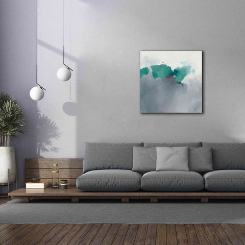 Image of 'Dark To Light Peacock' by Mike Schick, Giclee Canvas Wall Art,37x37