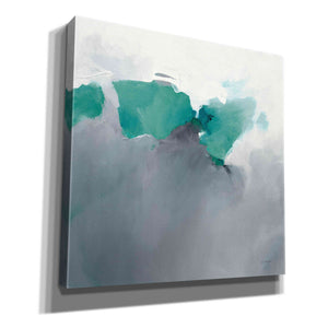 'Dark To Light Peacock' by Mike Schick, Giclee Canvas Wall Art