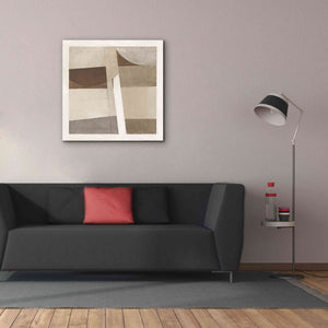 'Sunny Side Up Brown' by Mike Schick, Giclee Canvas Wall Art,37x37