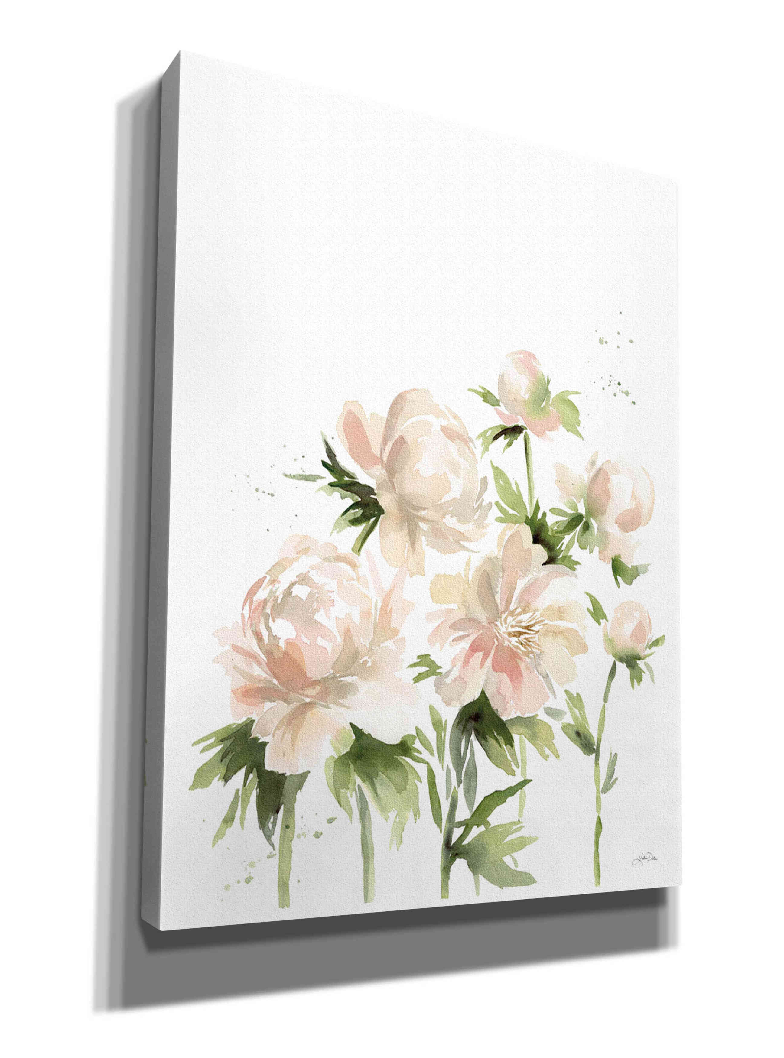 'Peonies I' by Katrina Pete, Giclee Canvas Wall Art