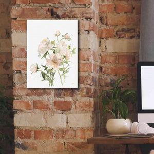 'Peonies II' by Katrina Pete, Giclee Canvas Wall Art,12x16