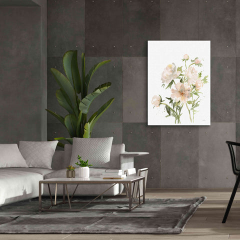 Image of 'Peonies II' by Katrina Pete, Giclee Canvas Wall Art,40x54