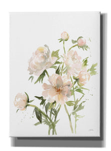 'Peonies II' by Katrina Pete, Giclee Canvas Wall Art