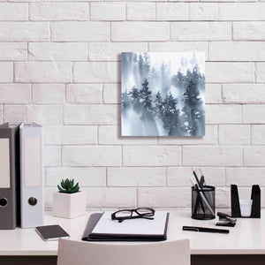 'Misty Forest I' by Katrina Pete, Giclee Canvas Wall Art,12x12