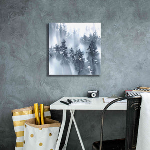 'Misty Forest I' by Katrina Pete, Giclee Canvas Wall Art,18x18