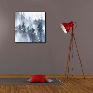 'Misty Forest I' by Katrina Pete, Giclee Canvas Wall Art,26x26