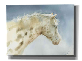 'Dapple Gray Horse' by Katrina Pete, Giclee Canvas Wall Art