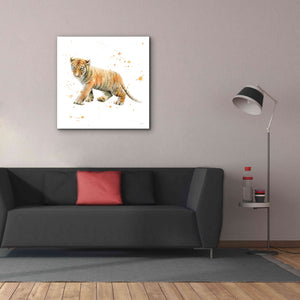'Tiger Cub' by Katrina Pete, Giclee Canvas Wall Art,37x37