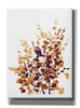 'Brown Botanicals' by Katrina Pete, Giclee Canvas Wall Art