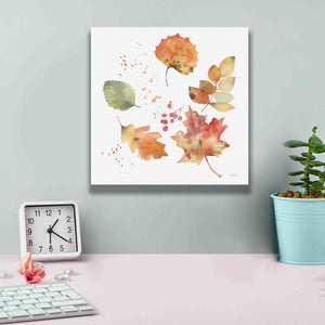 'Falling Leaves I' by Katrina Pete, Giclee Canvas Wall Art,12x12