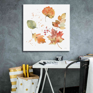 'Falling Leaves I' by Katrina Pete, Giclee Canvas Wall Art,26x26