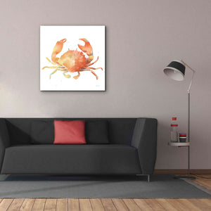 'Summertime Crab' by Katrina Pete, Giclee Canvas Wall Art,37x37
