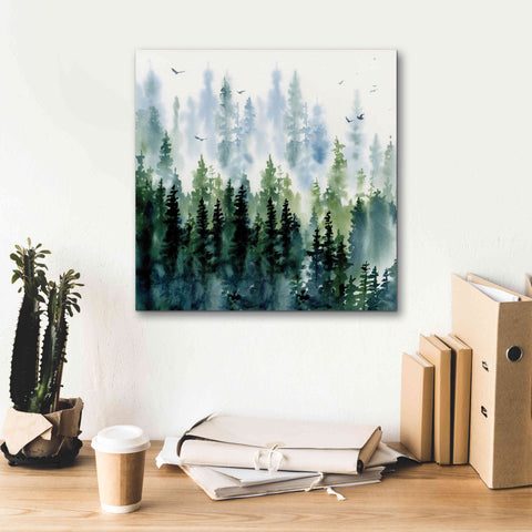 Image of 'Evening Treeline Sq' by Katrina Pete, Giclee Canvas Wall Art,18x18