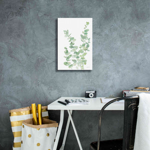 'Eucalyptus II' by Katrina Pete, Giclee Canvas Wall Art,12x18