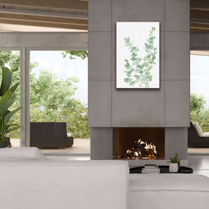 'Eucalyptus II' by Katrina Pete, Giclee Canvas Wall Art,26x40