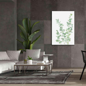 'Eucalyptus II' by Katrina Pete, Giclee Canvas Wall Art,40x60