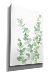 'Eucalyptus II' by Katrina Pete, Giclee Canvas Wall Art