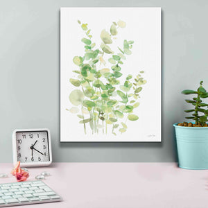 'Eucalyptus III' by Katrina Pete, Giclee Canvas Wall Art,12x16