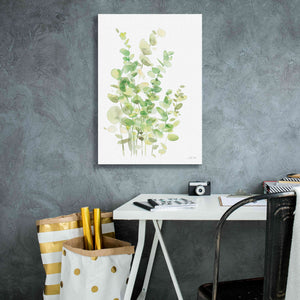 'Eucalyptus III' by Katrina Pete, Giclee Canvas Wall Art,18x26