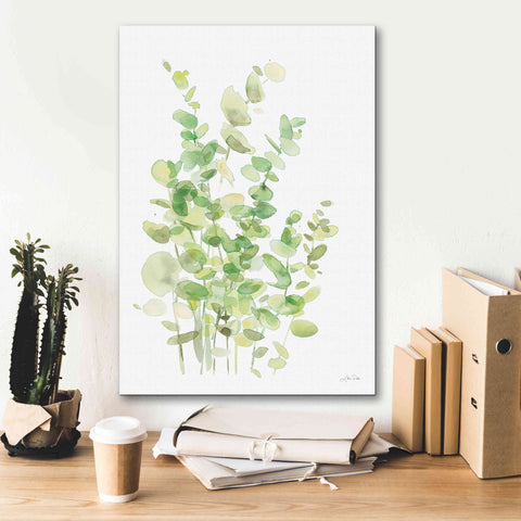 Image of 'Eucalyptus III' by Katrina Pete, Giclee Canvas Wall Art,18x26