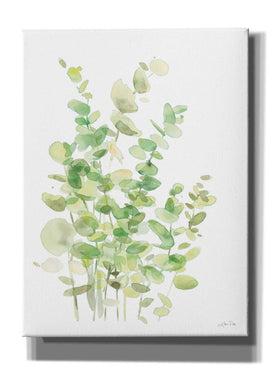 'Eucalyptus III' by Katrina Pete, Giclee Canvas Wall Art