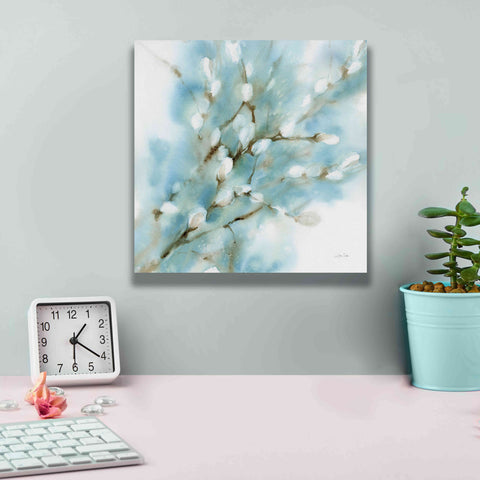 Image of 'Pussy Willows Square' by Katrina Pete, Giclee Canvas Wall Art,12x12