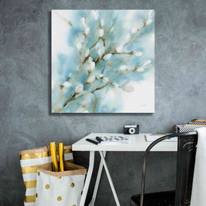 'Pussy Willows Square' by Katrina Pete, Giclee Canvas Wall Art,26x26
