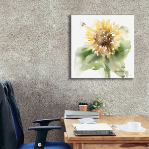 'Sunflower Meadow III' by Katrina Pete, Giclee Canvas Wall Art,26x26