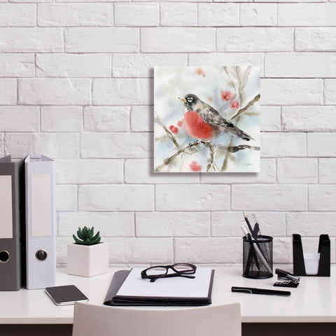 Image of 'Winter Robin' by Katrina Pete, Giclee Canvas Wall Art,12x12