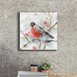 'Winter Robin' by Katrina Pete, Giclee Canvas Wall Art,18x18