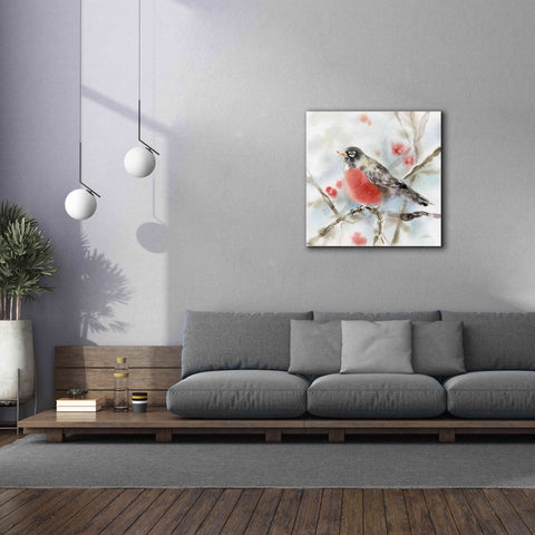 Image of 'Winter Robin' by Katrina Pete, Giclee Canvas Wall Art,37x37