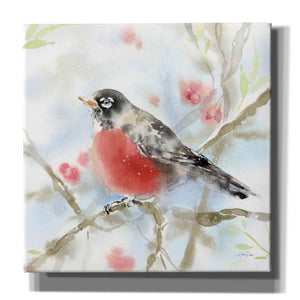 'Spring Robin' by Katrina Pete, Giclee Canvas Wall Art