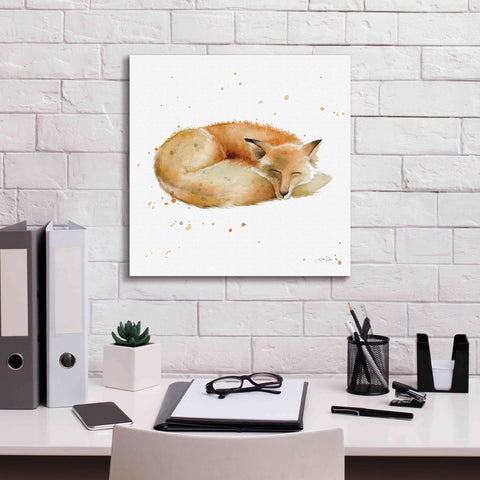 Image of 'Sleeping Fox' by Katrina Pete, Giclee Canvas Wall Art,18x18
