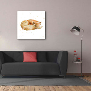 'Sleeping Fox' by Katrina Pete, Giclee Canvas Wall Art,37x37