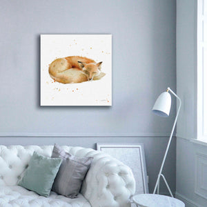'Sleeping Fox' by Katrina Pete, Giclee Canvas Wall Art,37x37