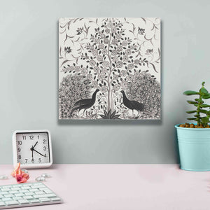'Peacock Garden VIII BW' by Miranda Thomas, Giclee Canvas Wall Art,12x12