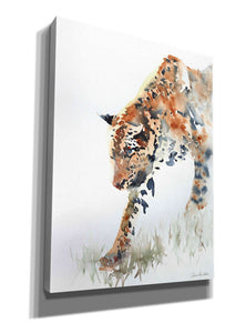 'Slowly Does It' by Alan Majchrowicz, Giclee Canvas Wall Art