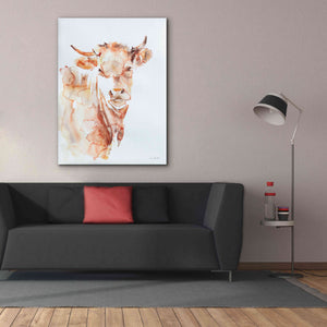 'Village Cow' by Alan Majchrowicz, Giclee Canvas Wall Art,40x54