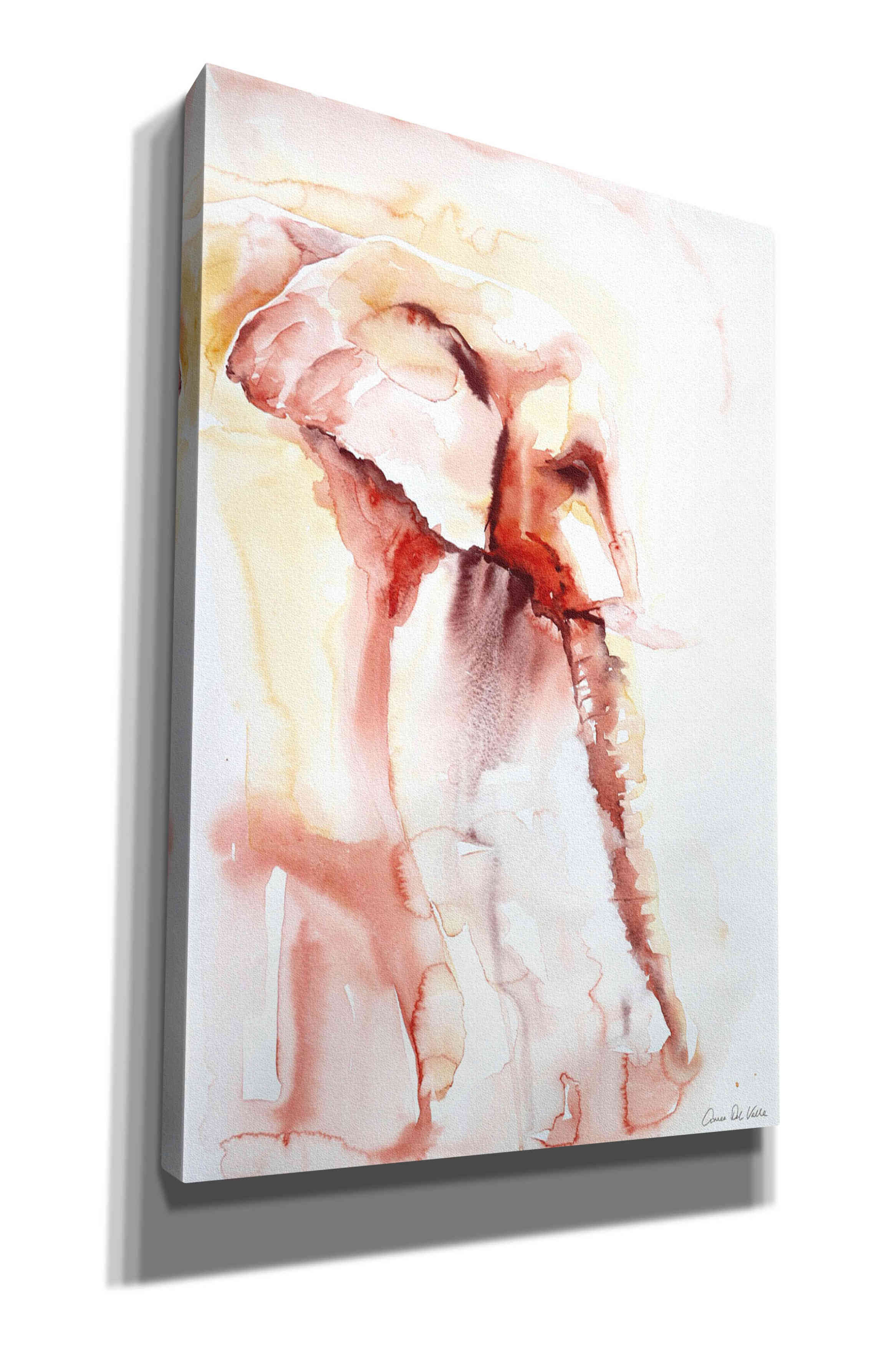 'African Elephant' by Alan Majchrowicz, Giclee Canvas Wall Art