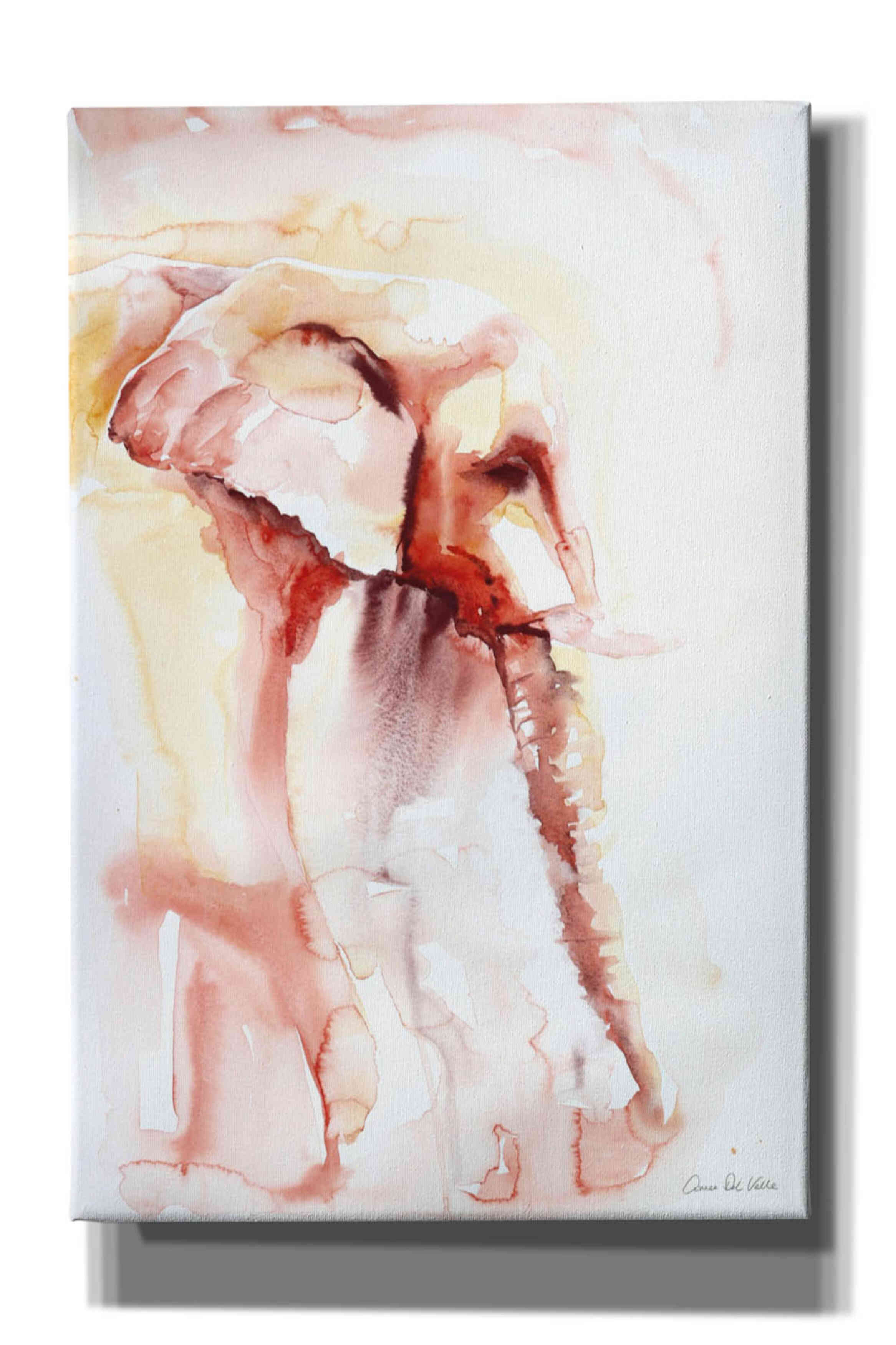 'African Elephant' by Alan Majchrowicz, Giclee Canvas Wall Art