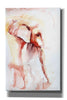 'African Elephant' by Alan Majchrowicz, Giclee Canvas Wall Art