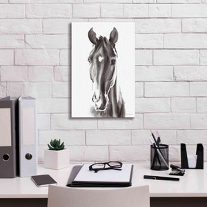 'Le Cheval Noir' by Alan Majchrowicz, Giclee Canvas Wall Art,12x18